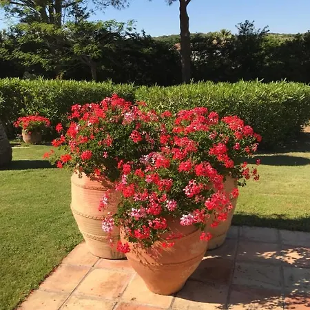 Bed & Breakfast Les Salins - La Sassiere